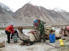 35 Unloading The Camels In The Sarpo Laggo Valley At Sughet Jangal 3900m K2 North Face China Base Camp